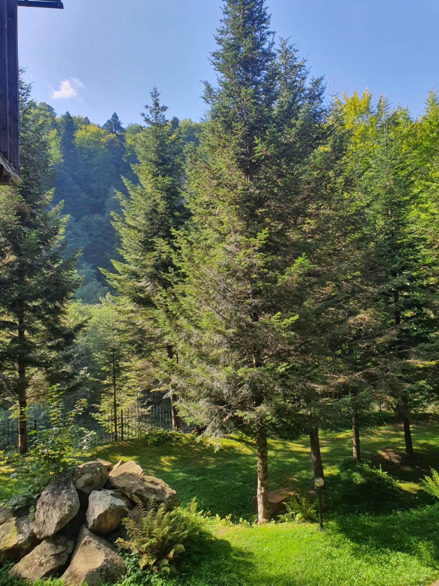 Садиба Nad Prutom Yaremche Bagian luar foto