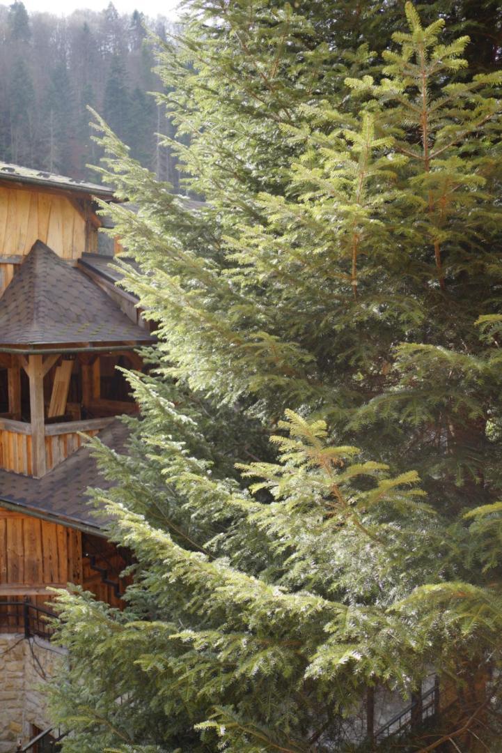 Садиба Nad Prutom Yaremche Bagian luar foto